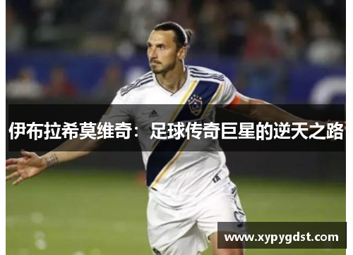 伊布拉希莫维奇：足球传奇巨星的逆天之路