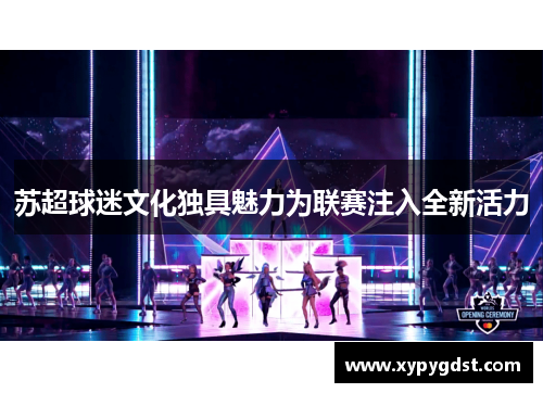 苏超球迷文化独具魅力为联赛注入全新活力